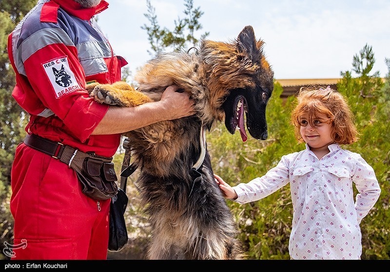 IRCS Runs Rescue Dog Training Center