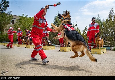 مرکز آنست