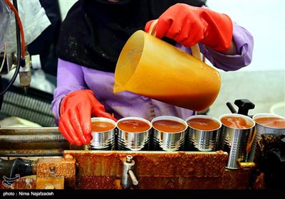 بازدید اصحاب رسانه خراسان رضوی از شهرک صنعتی چناران