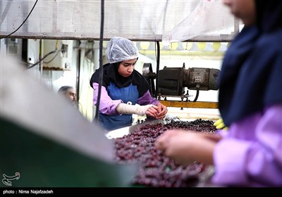 بازدید اصحاب رسانه خراسان رضوی از شهرک صنعتی چناران