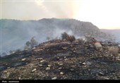کوه مورد در آتش و خاکستر؛ همدلی پیروز شد