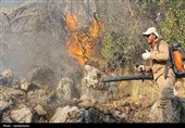 کوه مورد در آتش و خاکستر؛ همدلی پیروز شد