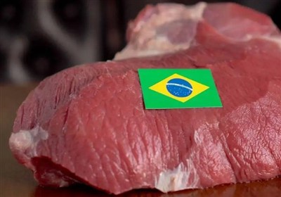 گوشت،واردات،برزيل،كشورهاي،وارداتي،اطراف