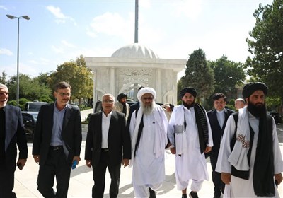 افغانستاني،افغانستان،هرات،اتباع،غيرمجاز،والي،رضوي،بازديد،اير ...