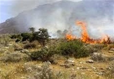 حفاظت،منطقه،زيست،استان،اردبيل،محيط،حفاظتي،مراتع،مهار،مديركل،آتش