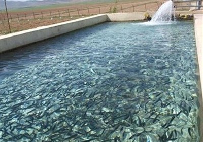 شيلات،اردبيل،برق،مديركل،حوزه،استان،خورشيدي،قطعي،تأمين