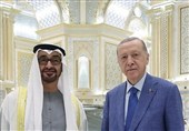 ОАЭ включились в геополитическую игру на Кавказе