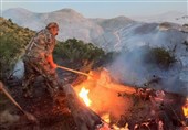 آتشسوزی در بخش هایی از پارک ملی تندوره درگز