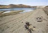 مشارکتهای اجتماعی؛ راهبرد کلان مدیریت پایدار آب در استان بوشهر