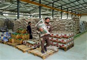 ارسال 12 کامیون اقلام غذایی و تجهیزات موکب شهدای مدافعان حرم آمل به کربلا
