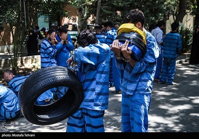 طرح دستگیری سارقان خشن