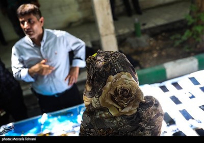 طرح دستگیری سارقان خشن