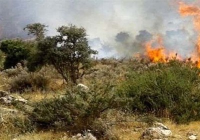 اورژانس،حادثه،115،مركز،آبيدر،مصدومان،سنندج،نفر،رئيس،تسنيم