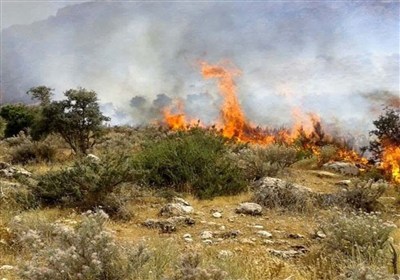 شاهرود،آتش،منطقه،احمدي،شهرداري،امدادي،داوطلب،مهار