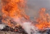 دست‌های گره‌خورده برای نجات جنگل ابر/ آتش در برابر اتحاد مردم و امدادگران