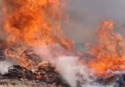 شاهرود،ابر،جنگل،حفاظت،آتش،نيروهاي،امدادي،مهار