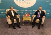 Iran, Turkey Urge Joint Muslim Action against Israel