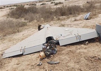 استان،بوشهر،مرزبانان،مرزباني،پاكسازي،خنثي