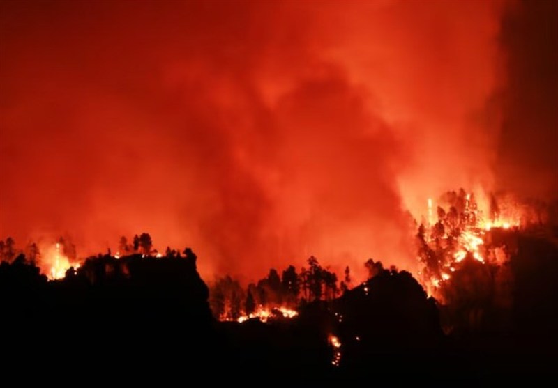 As US Wildfires Rage, Trump Staff Cuts Force Firefighters to Clean Toilets, Critics Say