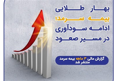 شركت،مالي،بيمه،سرمد،افزايش،سودآوري،سود،مديريت،بازده