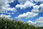 ورود اردبیل به دالان هوای خنک