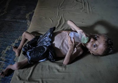 سازمان،غزه،روز،بيانيه،ملل،111،بشردوستانه،اميد،رهبري،سفر،خبرگ ...