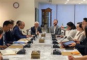 دیدار غریب‌آبادی با اعضای غیردائم شورای امنیت