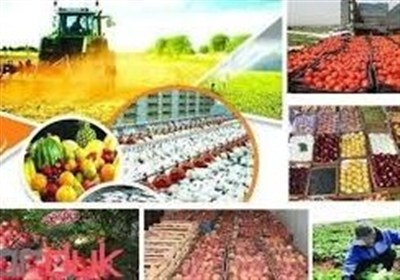 اردبيل،كشاورزي،استان،مغان،كشور،كشت،محصولات،صنعت،توليد