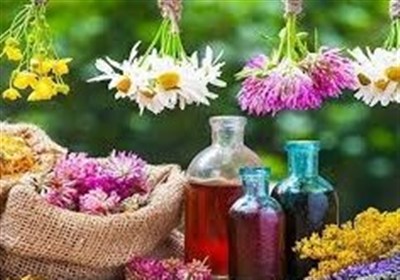 گياهان،دارويي،اردبيل،استان،توسعه،حفاظت،تحقيقات،كشاورزي،فراهم
