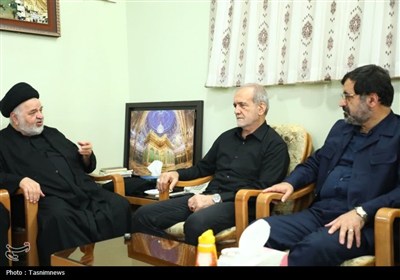 ديدار،سيستاني،قم،آرامش،نهادهاي،سيد
