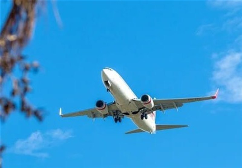از خلیج فارس تا بین‌الحرمین؛ پرواز دل‌های عاشق از هرمزگان به کربلا+فیلم