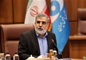 کمالوندی: صنعت هسته‌ای در کشور ما ریشه دارد