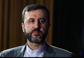 Гарибабади: У нас есть координация с � оссией и Китаем