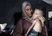 نداء شعراء الفارسیة فی وجه الکیان الصهیونی: غزة لیست وحدها