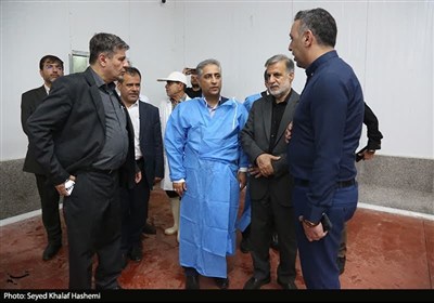 بررسی مشکلات واحدهای تولیدی و صنعتی استان بوشهر