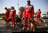 رزمایش نیروهای جمعیت هلال احمر اعزامی به مراسم اربعین حسینی