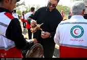 رزمایش نیروهای جمعیت هلال احمر اعزامی به مراسم اربعین حسینی