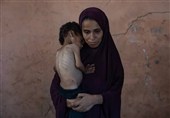 Признание еврейского СМИ: треть жителей Газы не имеют ничего поесть