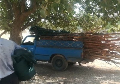 روستاي،شيراز،گردشگري،تاريخي،آب،روستا،احمدي،پل