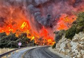 Massive Wildfires Threaten Bursa As Turkey Declares Disaster Zones