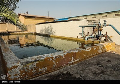 عملیات اطفای حریق بخش عراقی تالاب هورالعظیم-خوزستان