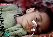 شهادت 100 فلسطینی طی 24 ساعت اخیر/ گرسنگی 14 قربانی جدید گرفت