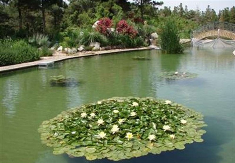 باغ گیاه‌شناسی کاشان در فهرست میراث طبیعی ملی ثبت شد