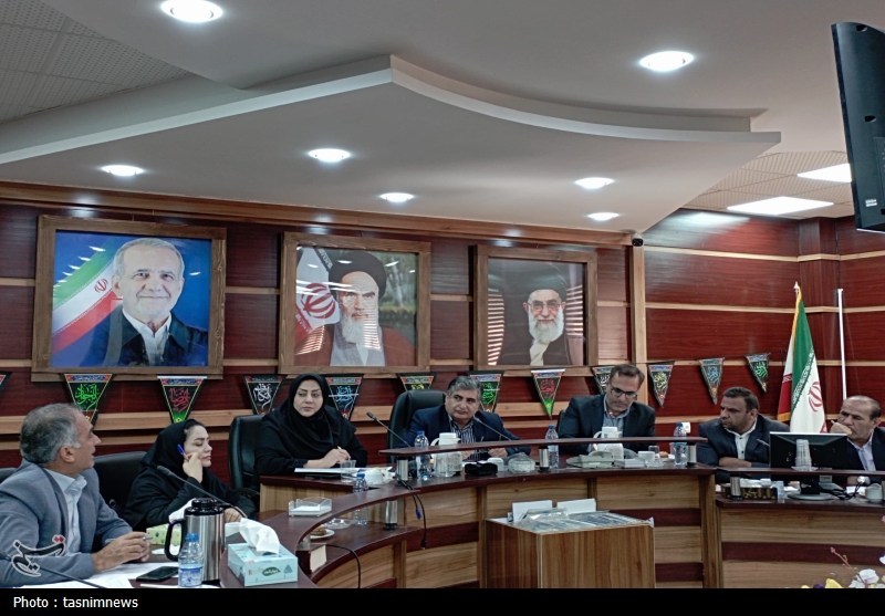 بويراحمد،محمدي،شهرستان،حوزه،فرماندار،نان،اصلاح،سازوكارهاي،رو ...