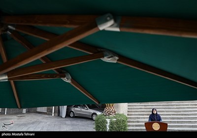 فاطمه مهاجرانی سخنگوی دولت