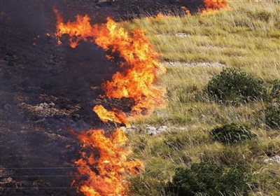 آتش،ايتاليا،تركيه،يونان،گزارش،سازمان،ساحل،شمال،مبارزه،زيست،م ...