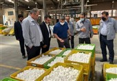 ایران به قطب تولید کاتالیست در غرب آسیا نزدیک شد/جهش استراتژیک «ومعادن» در بومیسازی کاتالیستهای فولادی