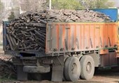 کشف 20 تن چوب تاغ قاچاق در شاهرود