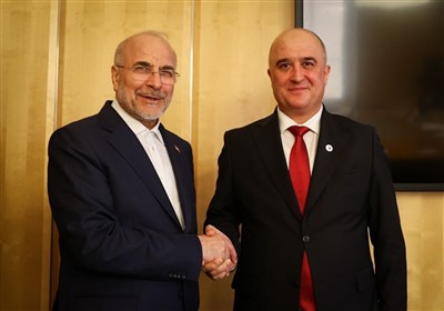 پارلماني،مجلس،رئيس،محمدباقر