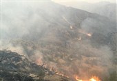 آتشسوزی مراتع منطقه گیسکان دشتستان پس از 5 روز مهار شد